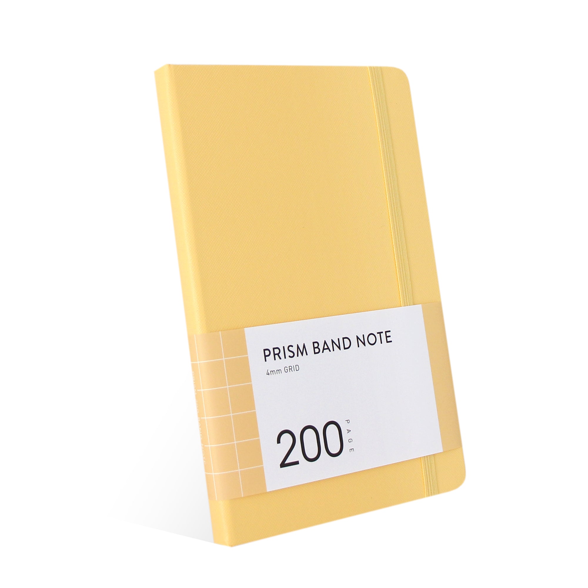 INDIGO Prism 200 プリズムバンドノート グリッド